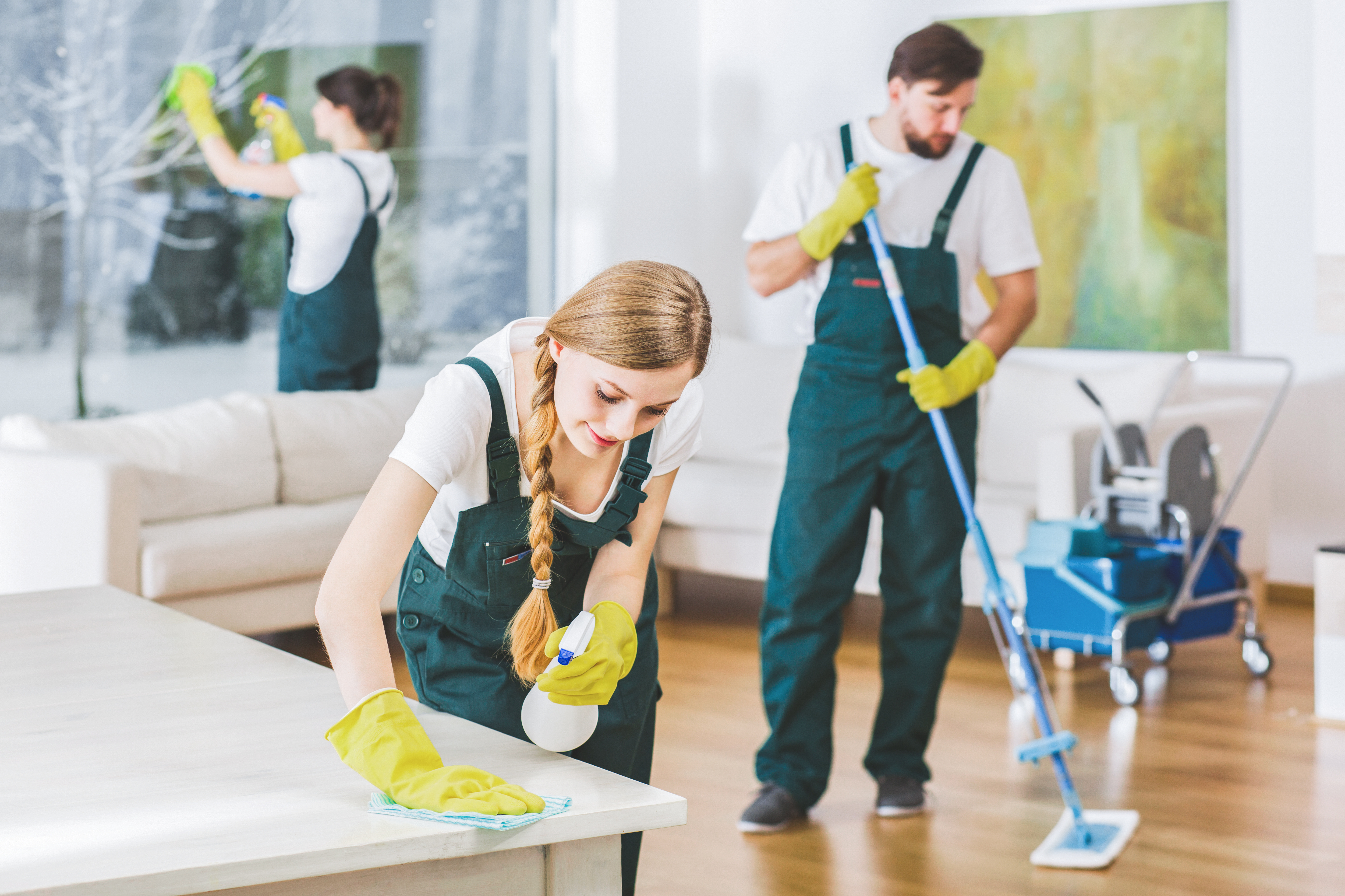 Professional cleaning team in uniforms and yellow gloves cleaning modern living room interior